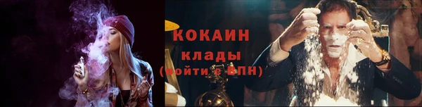 spice Аркадак
