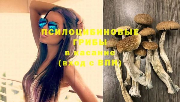 ECSTASY Армянск