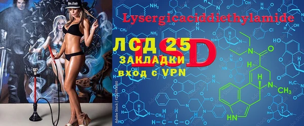 spice Аркадак
