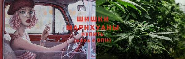 spice Аркадак