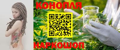 мдпв Гагарин