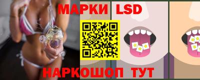 сатива Гатчина