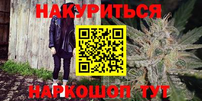 сатива Гатчина