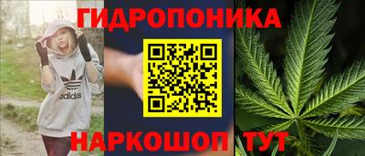 мдпв Гагарин